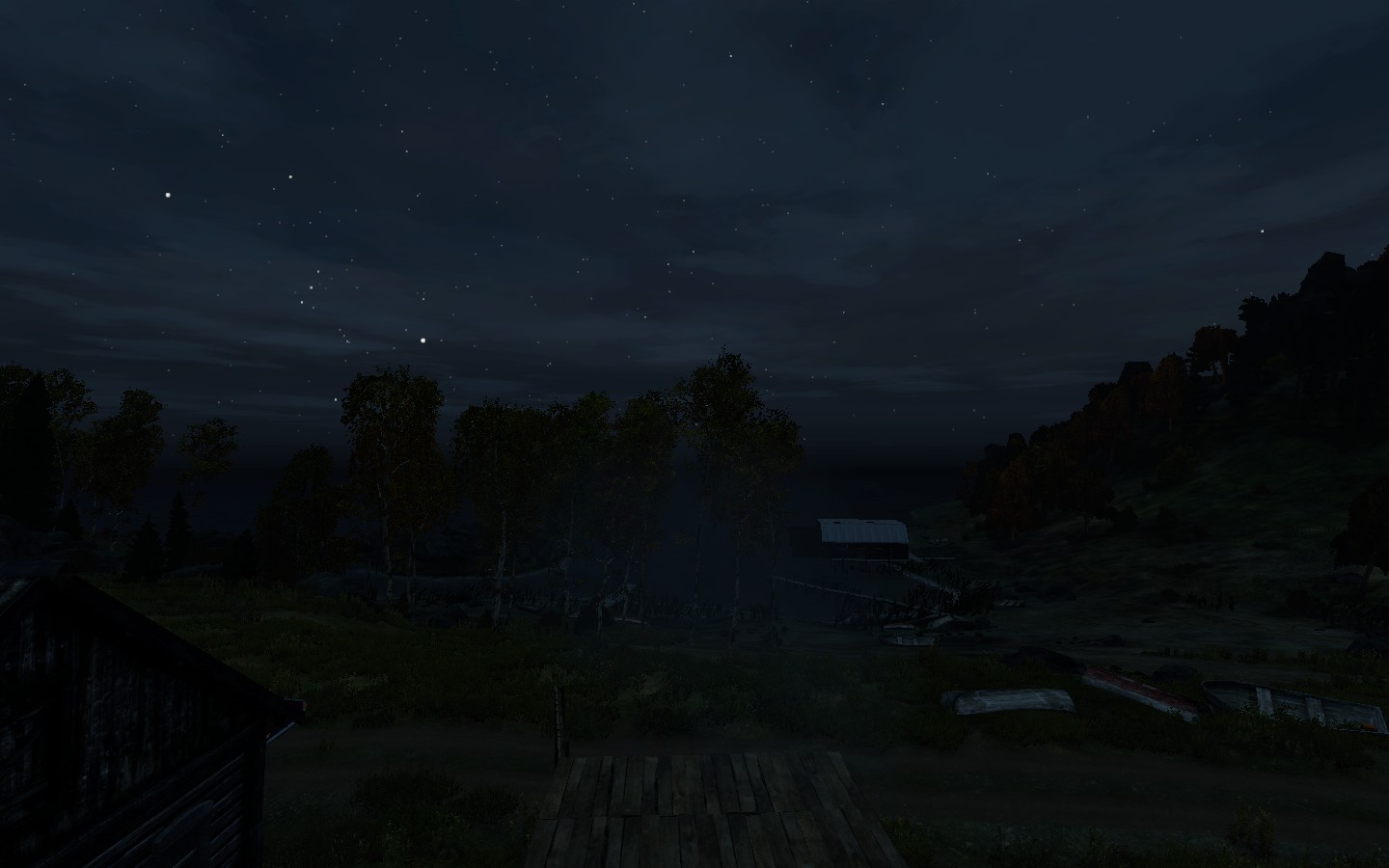 DayZ