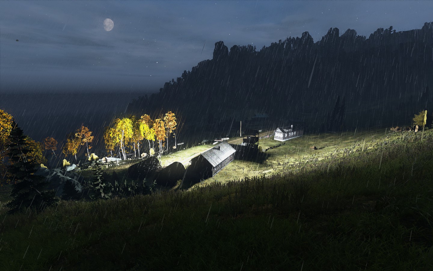 DayZ