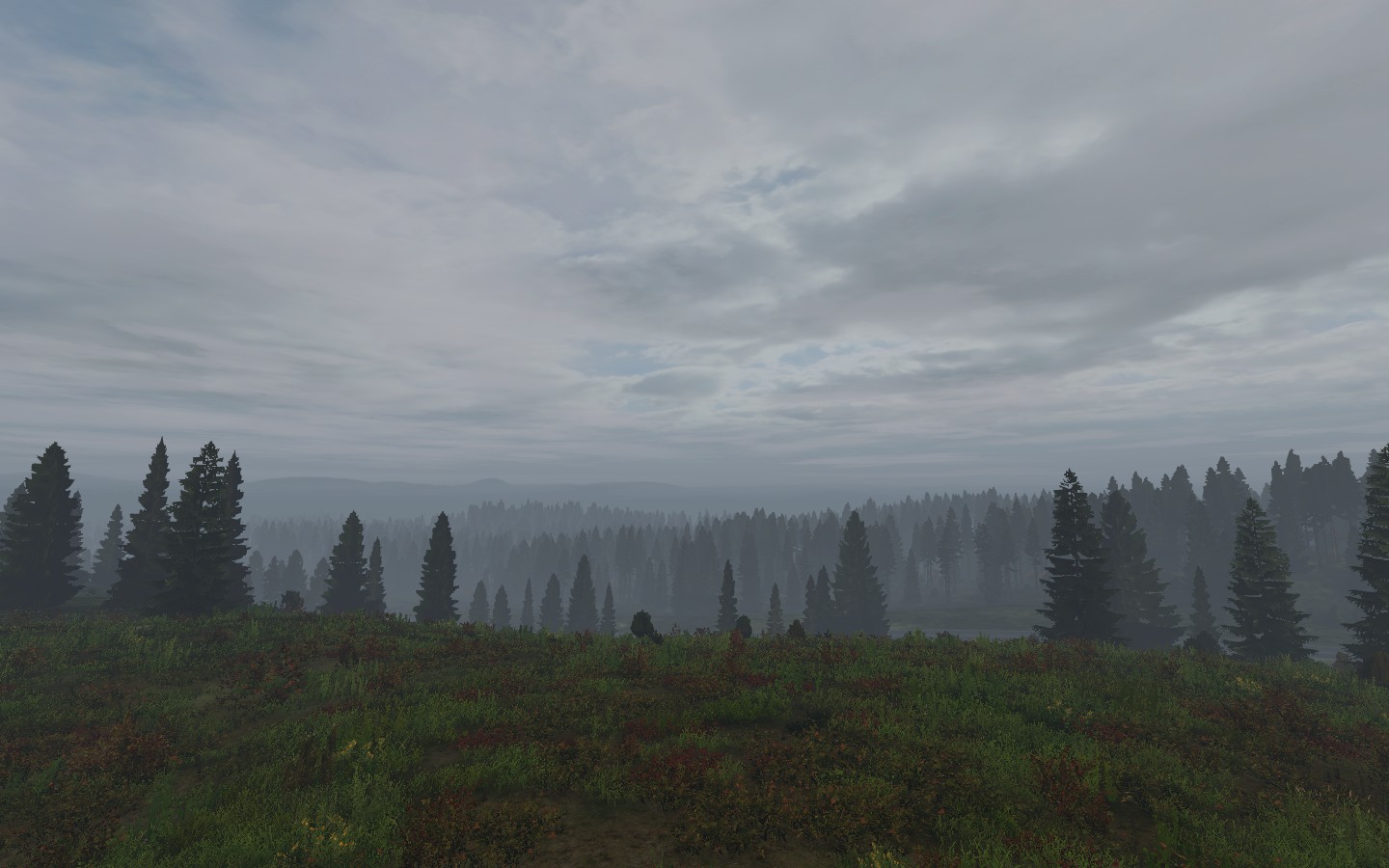 DayZ