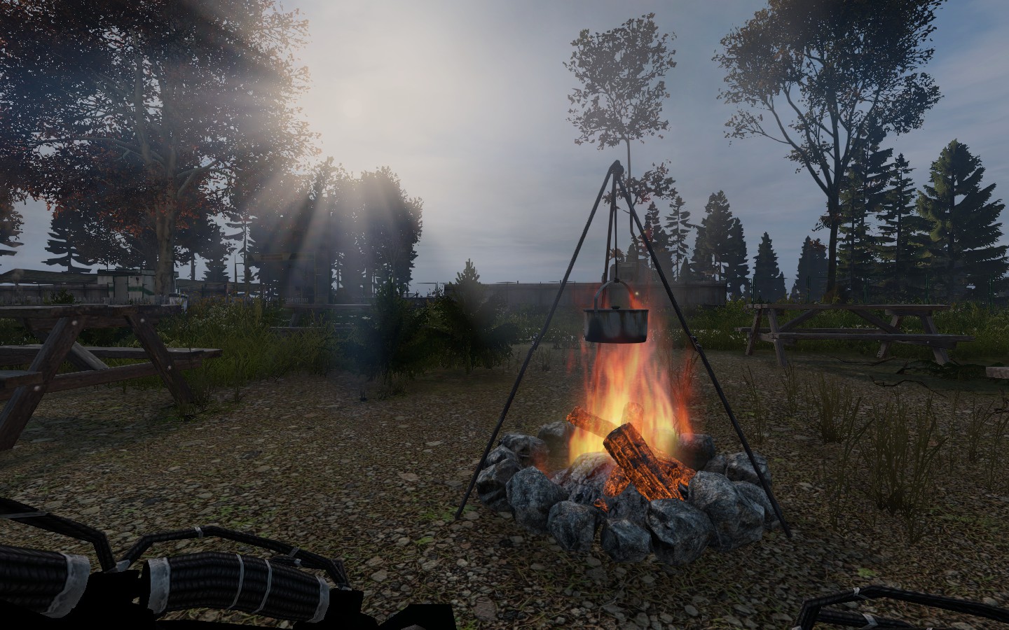 DayZ