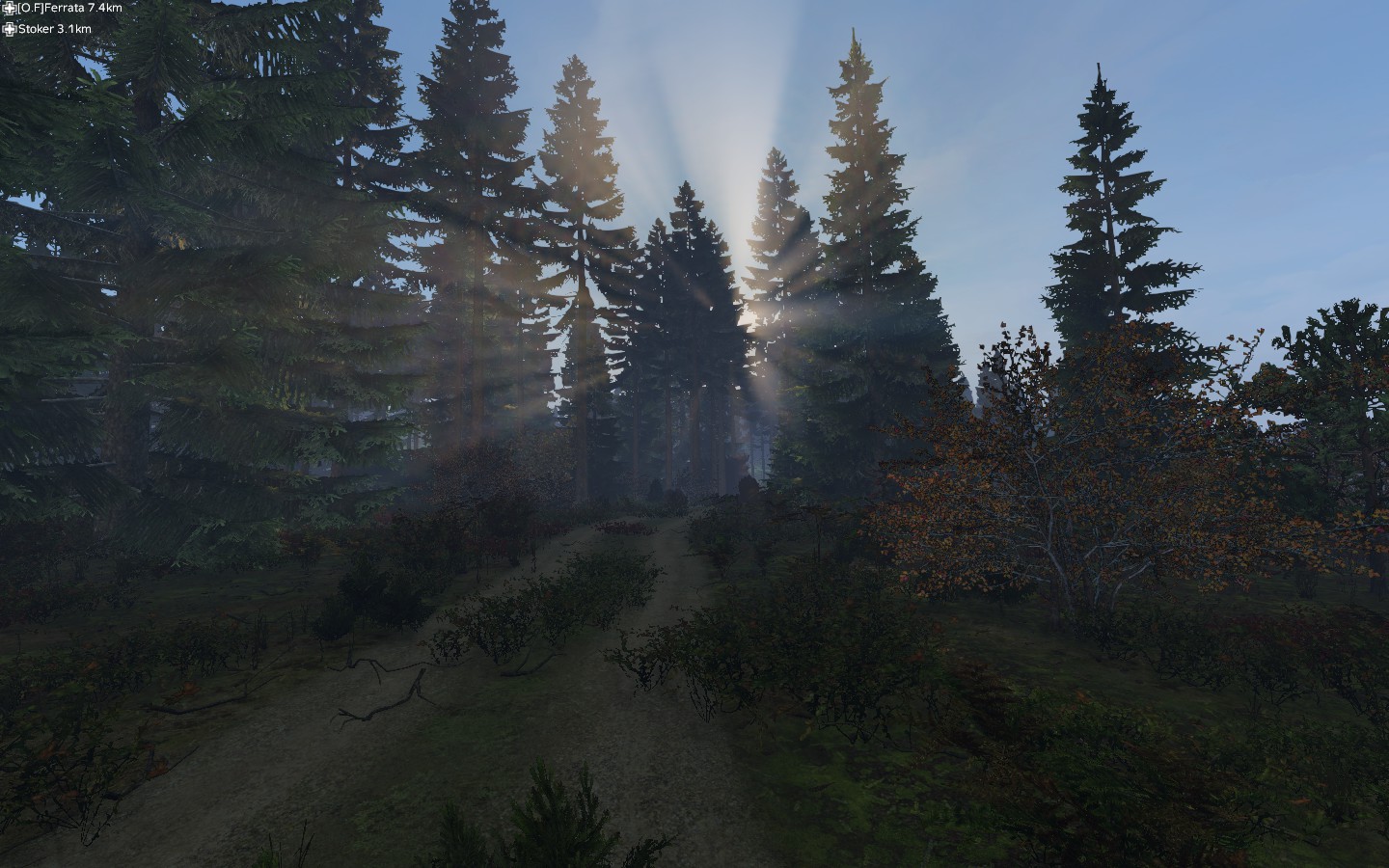 DayZ