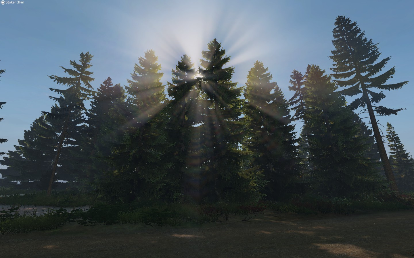 DayZ