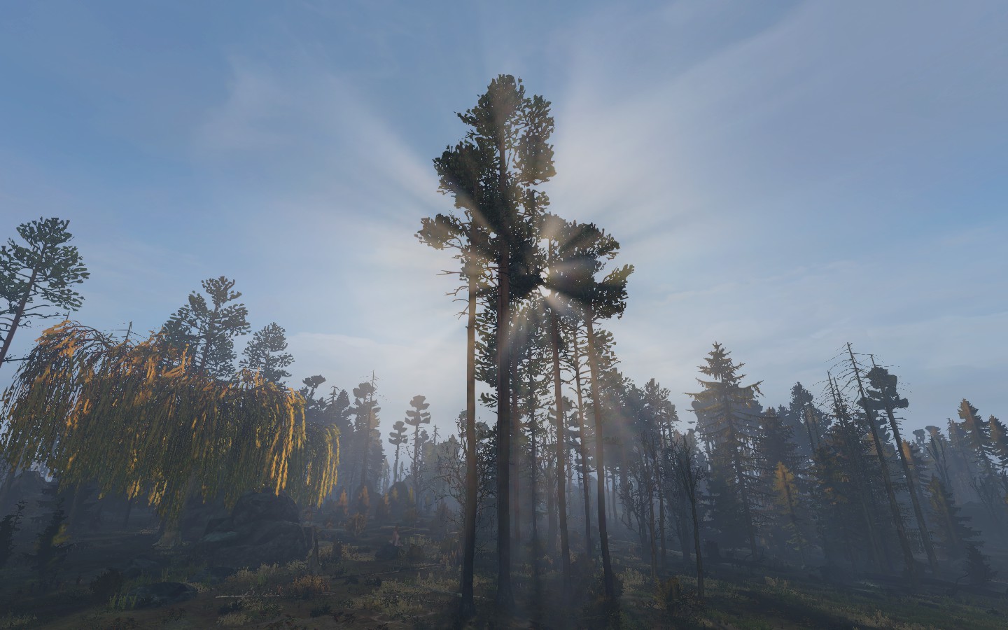 DayZ