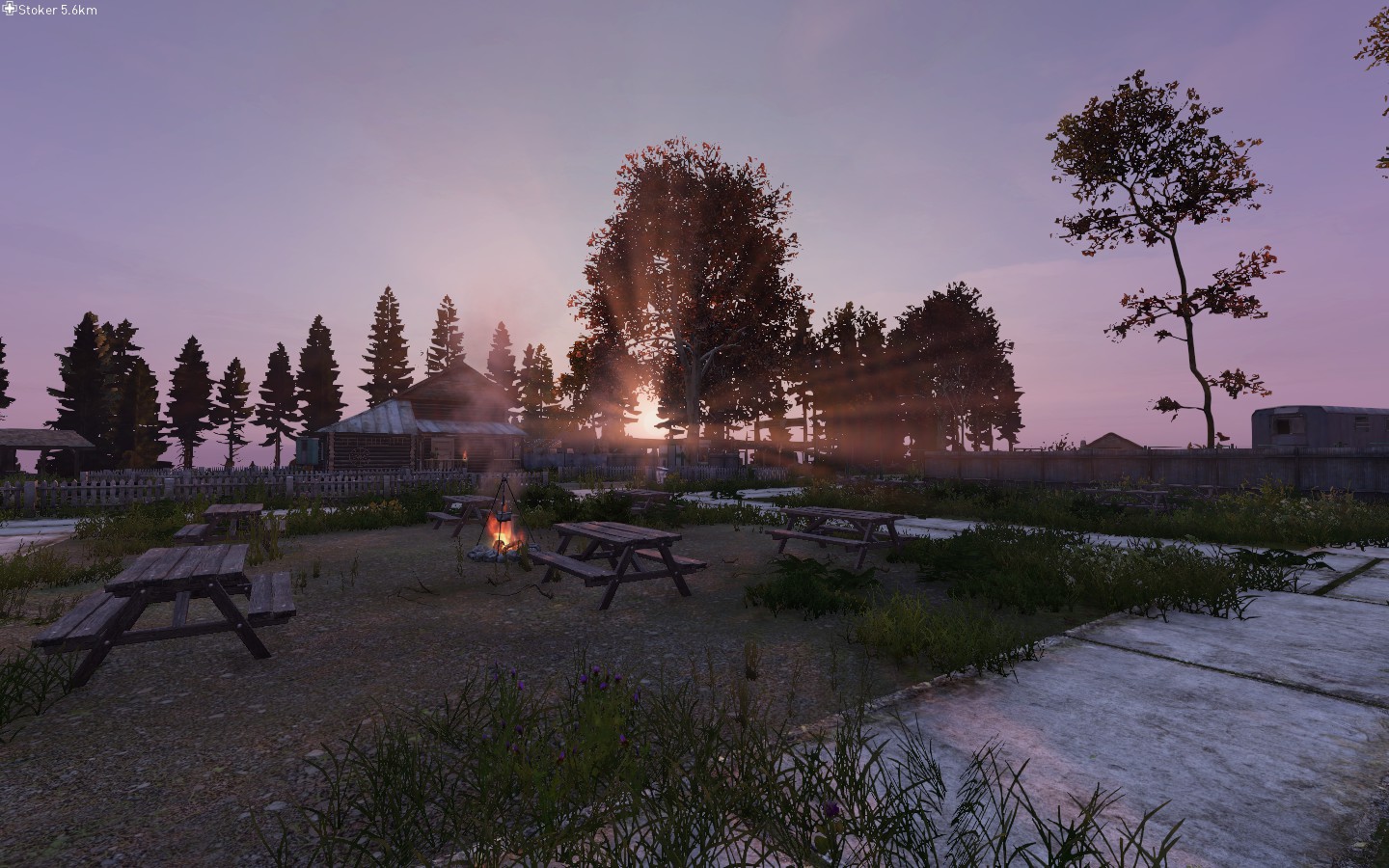 DayZ