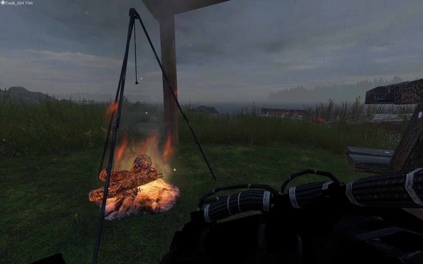 DayZ