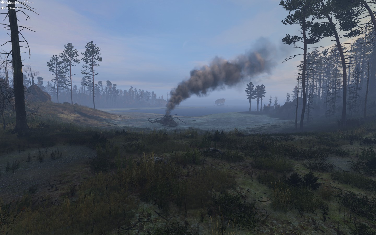 DayZ